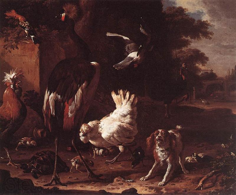 HONDECOETER, Melchior d Birds and a Spaniel in a Garden sf